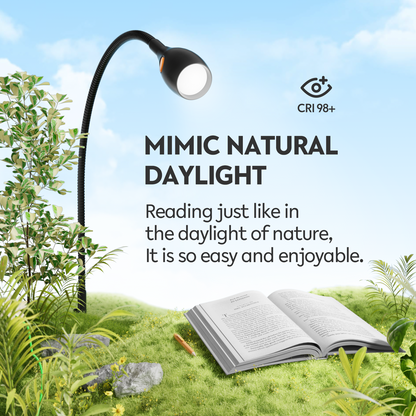 Minimalist Wall Mounted Bedside Reading Light, CRI 98+ 4000K LED, Powered by USB