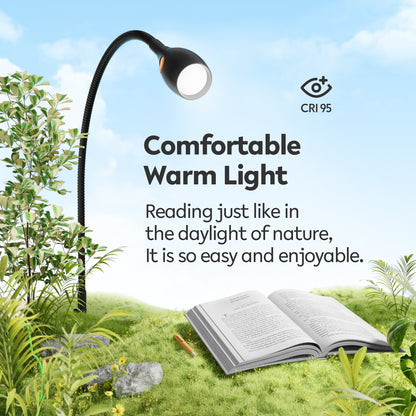 Wall Mounted Minimalist Bedside Reading Light Powered by Type-C Adapter