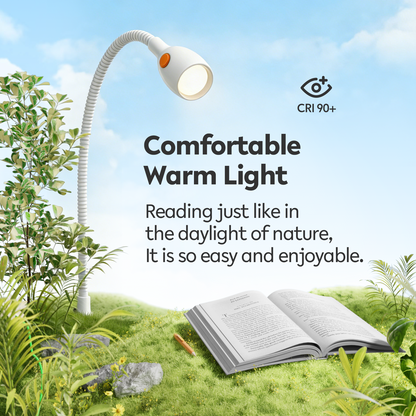 Wall Mounted Minimalist Bedside Reading Light Powered by Type-C Adapter Wjite