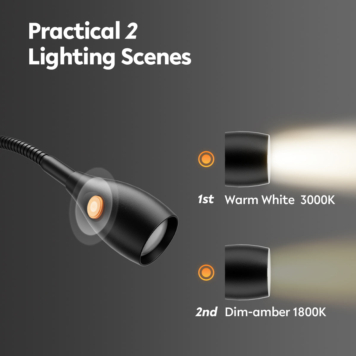 Wall Mounted Minimalist Bedside Reading Light Powered by Type-C Adapter