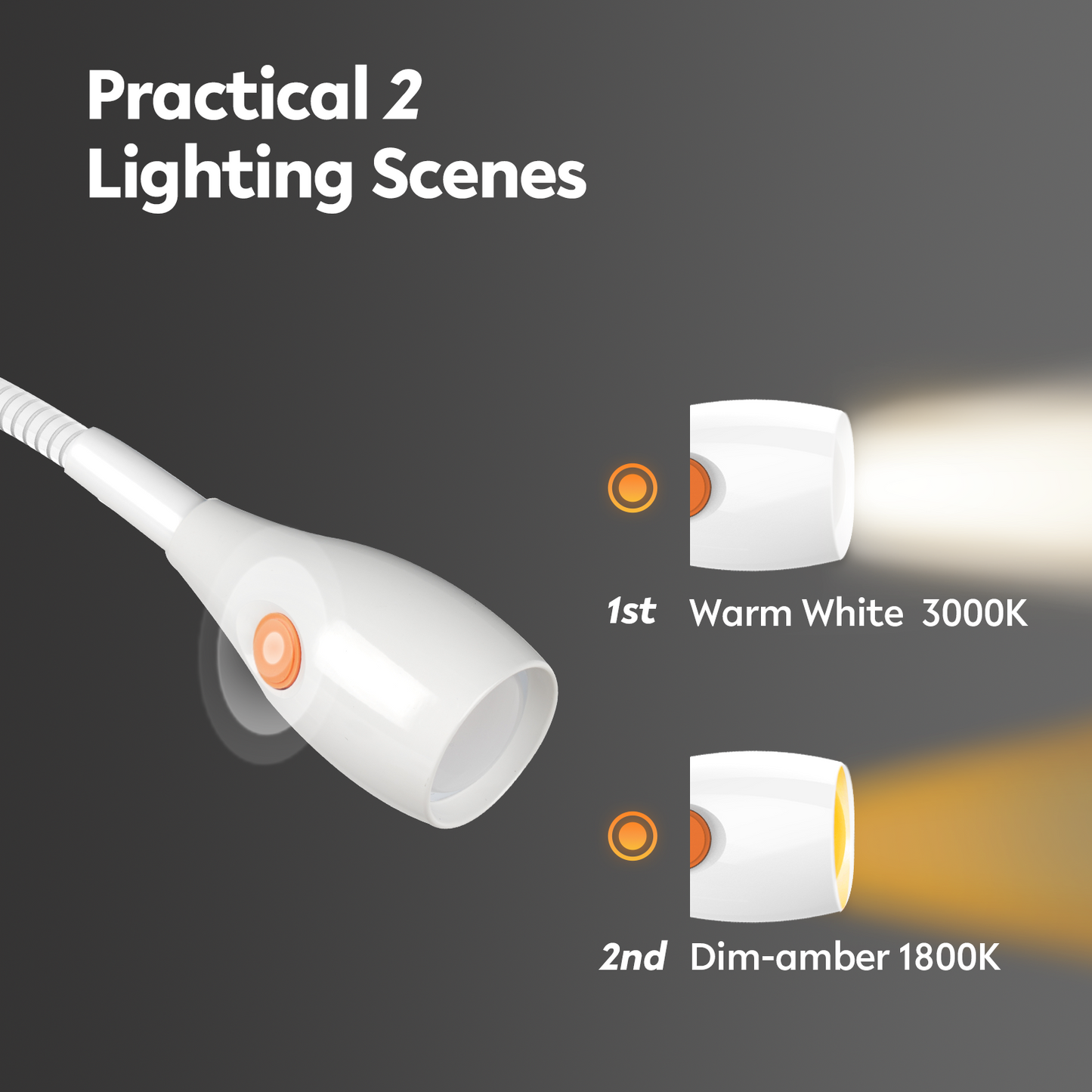 Wall Mounted Minimalist Bedside Reading Light Powered by Type-C Adapter Wjite