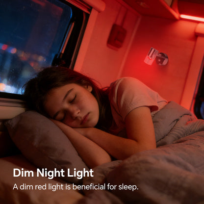 12V Reading Light RV 3200K/Red Night Light Built-in 20W Type-C Charger 1 Pack